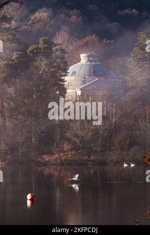 Belle Isle Round House mit Schwanen, die am Lake Windermere vorbeifliegen Stockfoto