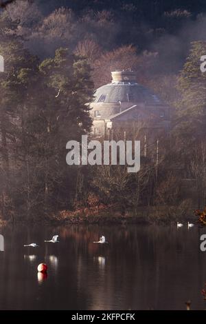 Belle Isle Round House mit Schwanen, die am Lake Windermere vorbeifliegen Stockfoto