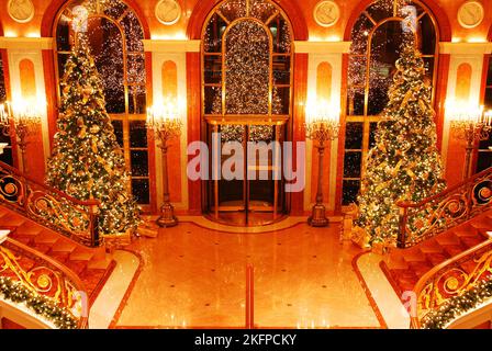 Während der Winterferiensaison schmücken beleuchtete Weihnachtsbäume die Lobby des New York Palace Hotels Stockfoto