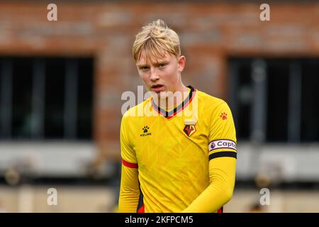 Swansea, Wales. 19. November 2022. Harvey Peters aus Watford während des Spiels der Professional Development League zwischen Swansea City unter 18 und Watford unter 18 Jahren an der Swansea City Academy in Swansea, Wales, Großbritannien am 19. November 2022. Quelle: Duncan Thomas/Majestic Media/Alamy Live News. Stockfoto