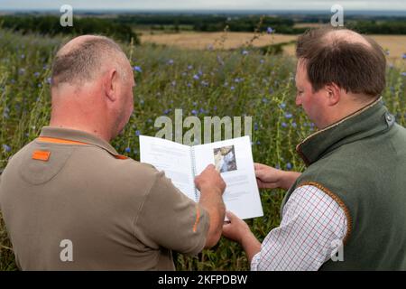 Landagent und Landwirt diskutieren über die Betriebsführung auf einem Ackerbaubetrieb in Northumberland, Großbritannien. Stockfoto