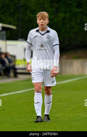 Swansea, Wales. 19. November 2022. Arthur Parker von Swansea City während des Spiels der Professional Development League zwischen Swansea City unter 18 und Watford unter 18 Jahren an der Swansea City Academy in Swansea, Wales, Großbritannien am 19. November 2022. Quelle: Duncan Thomas/Majestic Media/Alamy Live News. Stockfoto