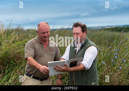 Landagent und Landwirt diskutieren über die Betriebsführung auf einem Ackerbaubetrieb in Northumberland, Großbritannien. Stockfoto