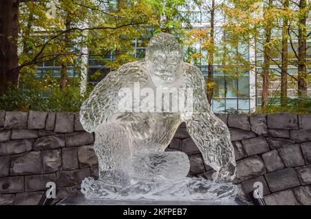 London, England, Großbritannien. 19.. November 2022. Gorilla-Eisskulptur. Im Rahmen des Wintereisevents, das darauf abzielt, die Dringlichkeit des Schutzes gefährdeter Arten weltweit hervorzuheben, haben Bildhauer in Canary Wharf Eisskulpturen von Tieren geschaffen. (Bild: © Vuk Valcic/ZUMA Press Wire) Stockfoto