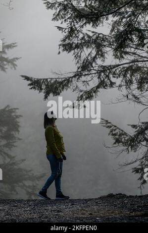 Eine Frau wie ein Geist geht durch den nebligen Wald, die Angst und das Geheimnis des Nebels im Wald, im Nebel spazieren. Stockfoto