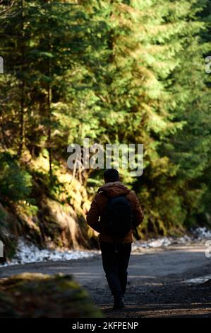 Ein Mann geht im Nebel entlang der Waldwege, die Sonnenstrahlen brechen durch die Bäume und den Nebel, Rucksack auf dem Rücken eines Mannes. Stockfoto