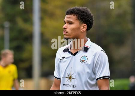 Swansea, Wales. 19. November 2022. Zane Myers von Swansea City während des Spiels der Professional Development League zwischen Swansea City unter 18 und Watford unter 18 Jahren an der Swansea City Academy in Swansea, Wales, Großbritannien am 19. November 2022. Quelle: Duncan Thomas/Majestic Media/Alamy Live News. Stockfoto