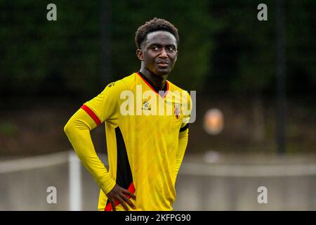 Swansea, Wales. 19. November 2022. Hamzat Balogun aus Watford während des Spiels der Professional Development League zwischen Swansea City unter 18 und Watford unter 18 Jahren an der Swansea City Academy in Swansea, Wales, Großbritannien am 19. November 2022. Quelle: Duncan Thomas/Majestic Media/Alamy Live News. Stockfoto