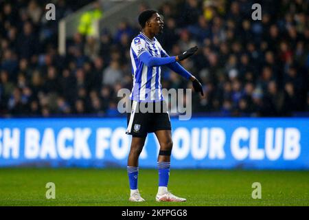 Sheffield, Großbritannien. 19.. November 2022. Tireeq Bakinson #19 of Sheffield Wednesday während des Sky Bet League 1-Spiels Sheffield Wednesday gegen Shrewsbury Town in Hillsborough, Sheffield, Großbritannien, 19.. November 2022 (Foto von Ben Early/News Images) in Sheffield, Großbritannien am 11/19/2022. (Foto von Ben Early/News Images/Sipa USA) Quelle: SIPA USA/Alamy Live News Stockfoto