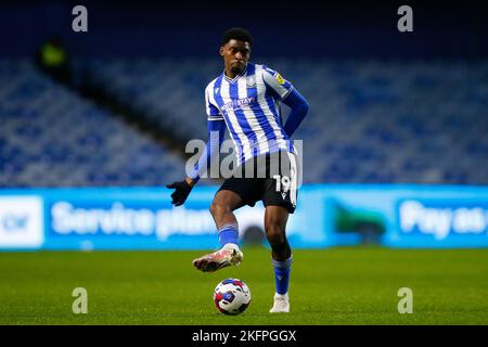 Sheffield, Großbritannien. 19.. November 2022. Tireeq Bakinson #19 of Sheffield Wednesday während des Sky Bet League 1-Spiels Sheffield Wednesday gegen Shrewsbury Town in Hillsborough, Sheffield, Großbritannien, 19.. November 2022 (Foto von Ben Early/News Images) in Sheffield, Großbritannien am 11/19/2022. (Foto von Ben Early/News Images/Sipa USA) Quelle: SIPA USA/Alamy Live News Stockfoto