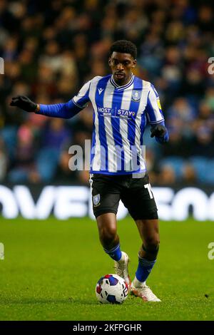 Sheffield, Großbritannien. 19.. November 2022. Tireeq Bakinson #19 of Sheffield Wednesday während des Sky Bet League 1-Spiels Sheffield Wednesday gegen Shrewsbury Town in Hillsborough, Sheffield, Großbritannien, 19.. November 2022 (Foto von Ben Early/News Images) in Sheffield, Großbritannien am 11/19/2022. (Foto von Ben Early/News Images/Sipa USA) Quelle: SIPA USA/Alamy Live News Stockfoto