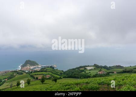 Getaria-Weinberge am bewölkten Tag in Spanien Stockfoto