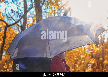 Ein Mann mit einem grauen Regenschirm steht in einem Herbstwald oder Park im Regen. Nieselregen im Herbstwald bei sonnigem Wetter. Herbststimmung. Es ist eine traurige Herbstzeit. Stockfoto