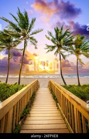 Wunderschöner Strandpfad, eingerahmt von Palmen, der zum Strand, Hollywood Beach, am frühen Morgen Miami, South Florida, USA führt Stockfoto