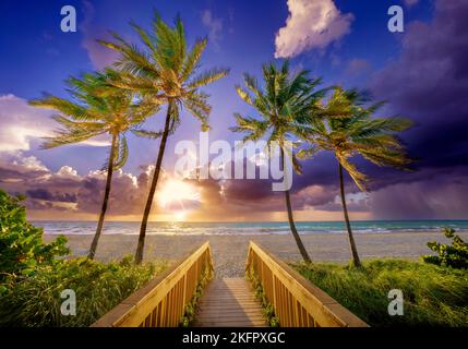 Wunderschöner Strandpfad, eingerahmt von Palmen, der zum Strand, Hollywood Beach, am frühen Morgen Miami, South Florida, USA führt Stockfoto