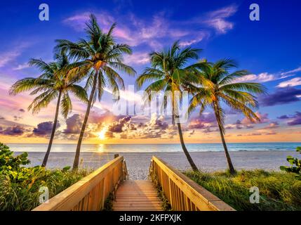 Wunderschöner Strandpfad, eingerahmt von Palmen, der zum Strand, Hollywood Beach, am frühen Morgen Miami, South Florida, USA führt Stockfoto