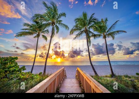 Wunderschöner Strandpfad, eingerahmt von Palmen, der zum Strand, Hollywood Beach, Sunrise Miami, South Florida, USA führt Stockfoto