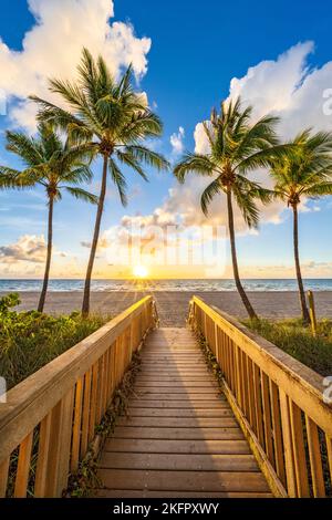 Wunderschöner Strandpfad, eingerahmt von Palmen, der zum Strand, Hollywood Beach, Sunrise Miami, South Florida, USA führt Stockfoto