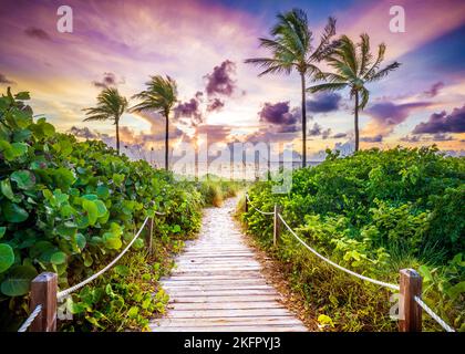 Wunderschöner Strandpfad, eingerahmt von Palmen, der zum Strand, Hollywood Beach, Sunrise Miami, South Florida, USA führt Stockfoto