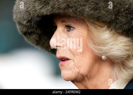 Der Queen Consort kommt am Samstag am November Racing Wochenende auf der Ascot Racecourse an. Bilddatum: Samstag, 19. November 2022. Stockfoto