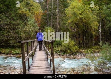 Über eine hölzerne Fußgängerbrücke im Wald, irgendwo im Bistrice-Tal im Triglav-Nationalpark, Slowenien Stockfoto