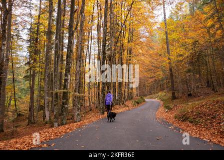 Wandern durch das Vrata-Tal im Herbst, Triglav Nationalpark in den Julischen Alpen, Slowenien Stockfoto