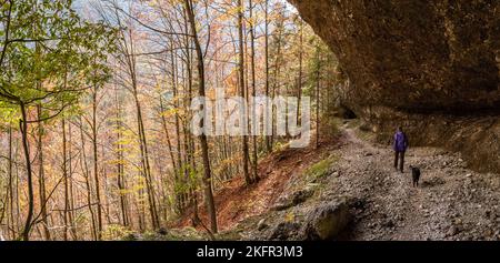 Wandern durch das Vrata-Tal im Herbst, Triglav Nationalpark in den Julischen Alpen, Slowenien Stockfoto