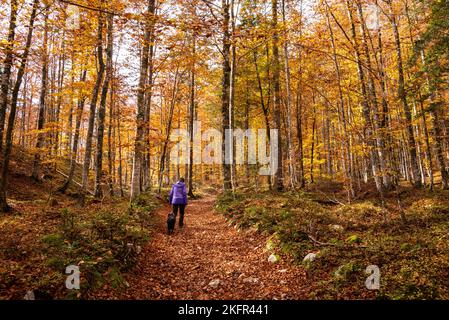 Wandern durch das Vrata-Tal im Herbst, Triglav Nationalpark in den Julischen Alpen, Slowenien Stockfoto