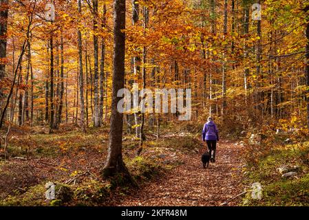 Wandern durch das Vrata-Tal im Herbst, Triglav Nationalpark in den Julischen Alpen, Slowenien Stockfoto