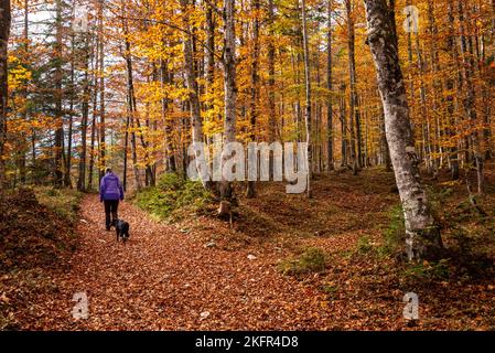 Wandern durch das Vrata-Tal im Herbst, Triglav Nationalpark in den Julischen Alpen, Slowenien Stockfoto