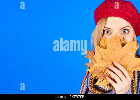 Herbstporträt einer überraschten Frau in roter Baskenmütze, die das Gesicht mit gelben Ahornblättern bedeckt. Speicherplatz kopieren. Stockfoto