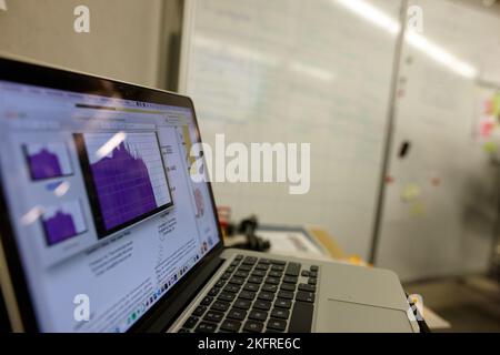 Ein Laptop-Bildschirm wird während der Wartung eingerichtet, Work-from-Home-Konzept Stockfoto