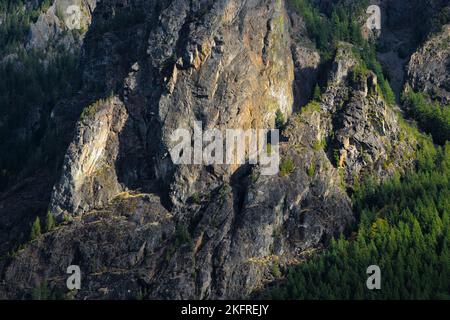 Detail der zerklüfteten Westwand des Mount Si in den Washington Cascades mit Tannen an der Flanke Stockfoto