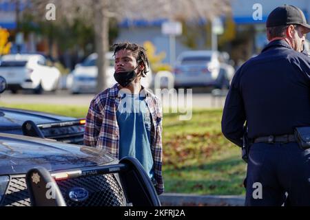 Berkeley, Usa. 19.. November 2022. Der Verdächtige wurde von der Polizei verhaftet. Ein Verdächtiger einer Verkehrsverletzung wurde von sieben Polizeifahrzeugen überfahren und von der Polizeibehörde von Berkeley verhaftet. Kredit: SOPA Images Limited/Alamy Live Nachrichten Stockfoto