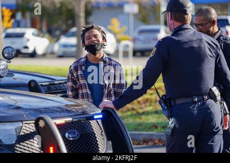 Berkeley, Usa. 19.. November 2022. Der Verdächtige wurde von der Polizei verhaftet. Ein Verdächtiger einer Verkehrsverletzung wurde von sieben Polizeifahrzeugen überfahren und von der Polizeibehörde von Berkeley verhaftet. Kredit: SOPA Images Limited/Alamy Live Nachrichten Stockfoto