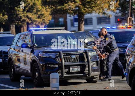 Berkeley, Usa. 19.. November 2022. Der Verdächtige wurde von der Polizei verhaftet. Ein Verdächtiger einer Verkehrsverletzung wurde von sieben Polizeifahrzeugen überfahren und von der Polizeibehörde von Berkeley verhaftet. Kredit: SOPA Images Limited/Alamy Live Nachrichten Stockfoto