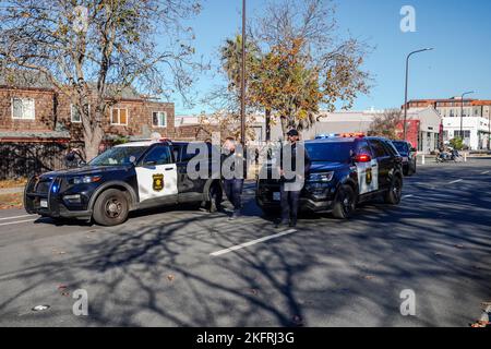 Berkeley, Usa. 19.. November 2022. Polizist arbeitete an dem Fall und Polizeifahrzeuge parkten auf der Straße. Ein Verdächtiger einer Verkehrsverletzung wurde von sieben Polizeifahrzeugen überfahren und von der Polizeibehörde von Berkeley verhaftet. Kredit: SOPA Images Limited/Alamy Live Nachrichten Stockfoto