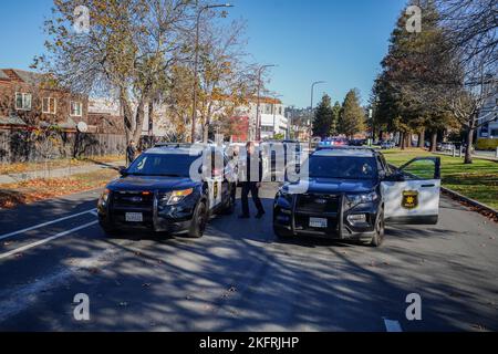 Berkeley, Usa. 19.. November 2022. Polizist arbeitete an dem Fall und Polizeifahrzeuge parkten auf der Straße. Ein Verdächtiger einer Verkehrsverletzung wurde von sieben Polizeifahrzeugen überfahren und von der Polizeibehörde von Berkeley verhaftet. (Foto von Michael Ho Wai Lee/SOPA Images/Sipa USA) Quelle: SIPA USA/Alamy Live News Stockfoto