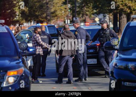 Berkeley, Usa. 19.. November 2022. Der Verdächtige wurde von der Polizei verhaftet. Ein Verdächtiger einer Verkehrsverletzung wurde von sieben Polizeifahrzeugen überfahren und von der Polizeibehörde von Berkeley verhaftet. (Foto von Michael Ho Wai Lee/SOPA Images/Sipa USA) Quelle: SIPA USA/Alamy Live News Stockfoto