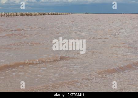 Salzlake und Salz eines rosa Sees, gefärbt von Mikroalgen Dunaliella salina, berühmt für seine antioxidativen Eigenschaften, angereichert Wasser mit Beta-Carotin, verwendet Stockfoto