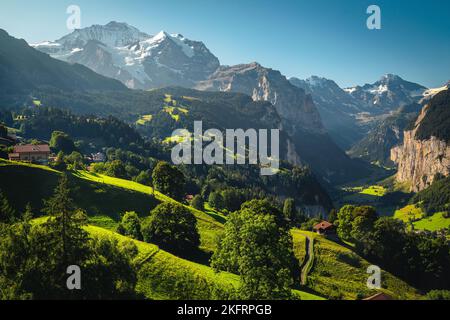 Eines der schönsten und berühmtesten Alpental mit hohen Wasserfällen. Grüne Felder und hohe Berge mit Gletschern, Lauterbrunnental, Schweizl Stockfoto