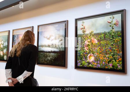 Amsterdam, Niederlande. 19.. November 2022. Ein Besucher blickt auf Kunstwerke während einer Pressekonferenz zur PAN Amsterdam 35. im RAI Convention Center in Amsterdam, Niederlande, am 19. November 2022. Die PAN Amsterdam 35. findet vom 20. Bis 27. November statt. Quelle: Sylvia Lederer/Xinhua/Alamy Live News Stockfoto