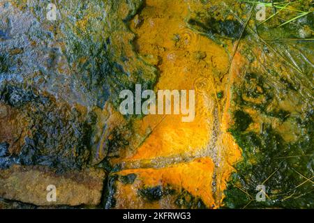 Mineralquelle im Soos-Mineralmoor, Skalná, Karlovarský kraj, Tschechien, Europa Stockfoto