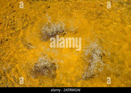 Mineralquelle im Soos-Mineralmoor, Skalná, Karlovarský kraj, Tschechien, Europa Stockfoto