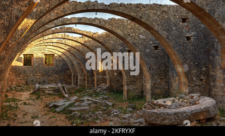 Oliven (olivae), Olivenölfabrik, Ölmühle, gewölbtes Gewölbe, alter Lagerraum, Kloster Agios Georgios, Halbinsel, Drapanon, Westkreta, Isla Stockfoto