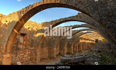 Oliven (olivae), Olivenölfabrik, Ölmühle, gewölbtes Gewölbe, alter Lagerraum, Kloster Agios Georgios, Halbinsel, Drapanon, Westkreta, Isla Stockfoto