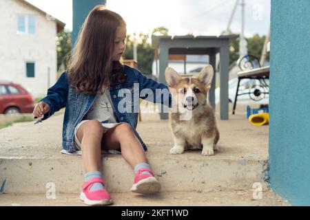 Porträt eines wunderbaren kleinen Mädchens mit langen dunklen Haaren, das eine Jeansjacke trägt, streichelndes Fell eines fröhlichen welsh pembroke Corgi-Welpen-Haustiers, sitzend Stockfoto