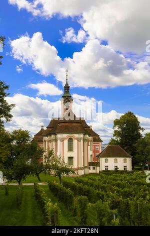 Basilika Birnau, Marienkirche, barocke Wallfahrtskirche am Nordufer des Bodensees, Barockkirche, Weinberg, Reben, Kirchturm, sacr Stockfoto