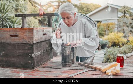 Räuchertopf, Farm und Frau in der Honigproduktion in einem Stahlbehälter auf einem nachhaltigen Bienenfeld. Feuer, Landwirtschaft und Senior umweltfreundliche Imker Stockfoto