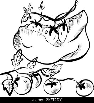 Skizze Illustration von Kirschtomaten. Handgezeichnetes Symbol auf weißem Hintergrund Stock Vektor